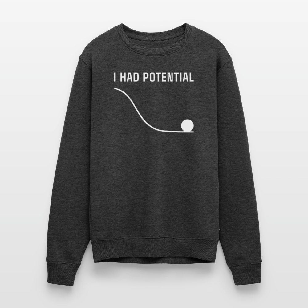 "I Had Potential" Premium Pullover | Physik Nerd Sweatshirt - Anthrazit meliert